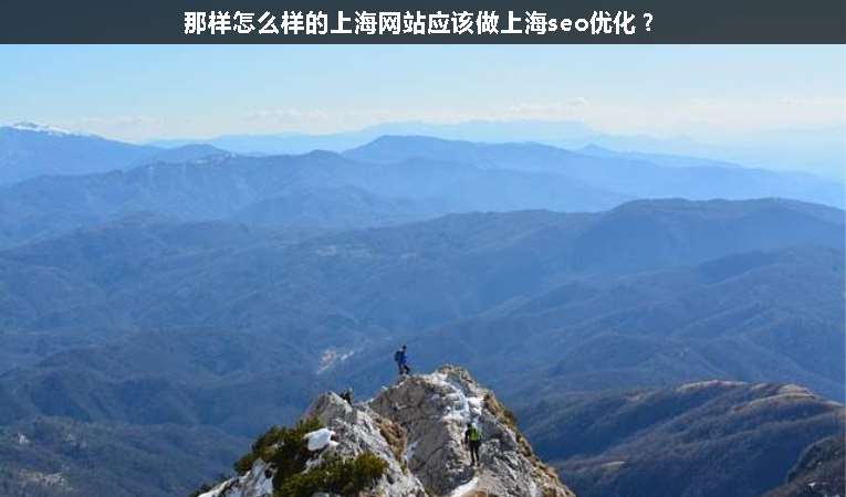 那樣怎么樣的上海網站應該做上海seo優化？