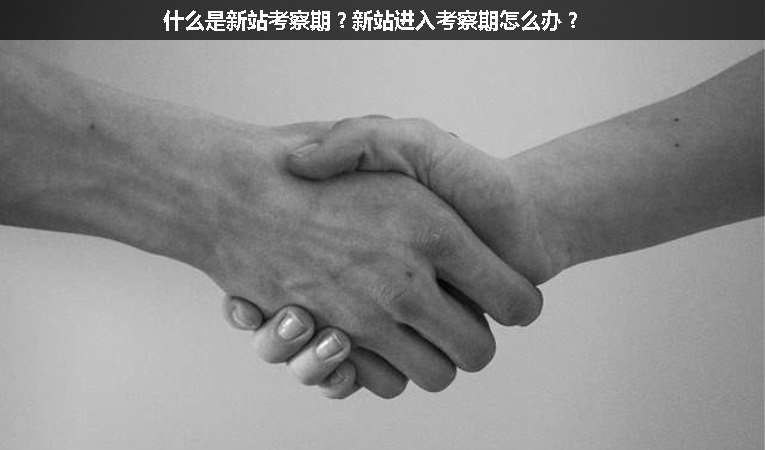 什么是新站考察期？新站進入考察期怎么辦？