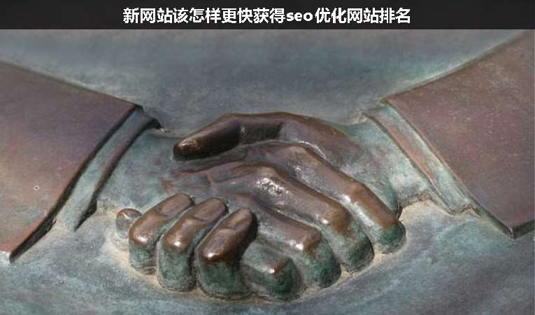 新網站該怎樣更快獲得seo優(yōu)化網站排名